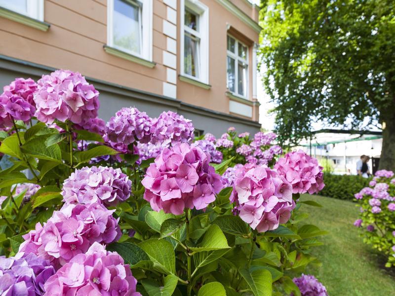 Ostseehotel Villen Im Park - Ein Rovell Hotel Heringsdorf  Kültér fotó