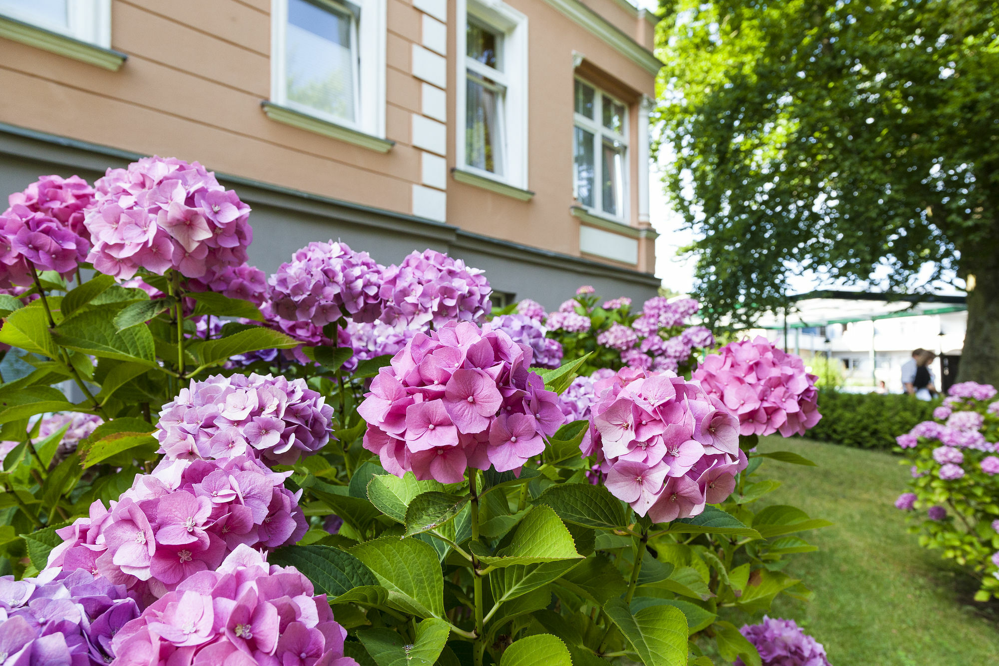 Ostseehotel Villen Im Park - Ein Rovell Hotel Heringsdorf  Kültér fotó